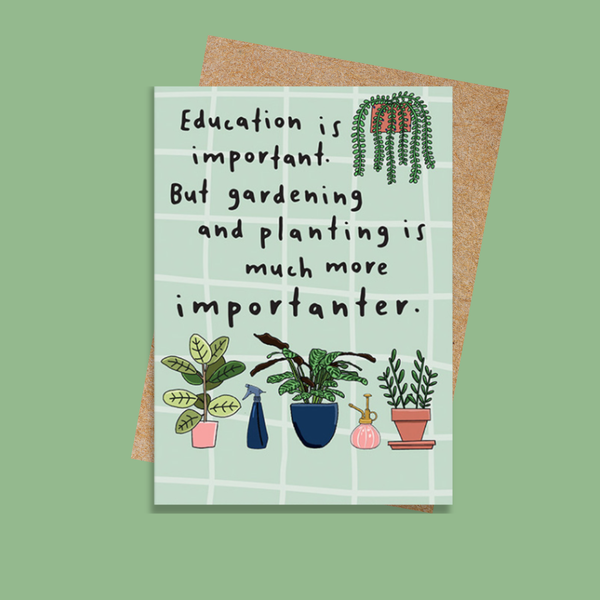 DSGF244 Education is important (6 pack)