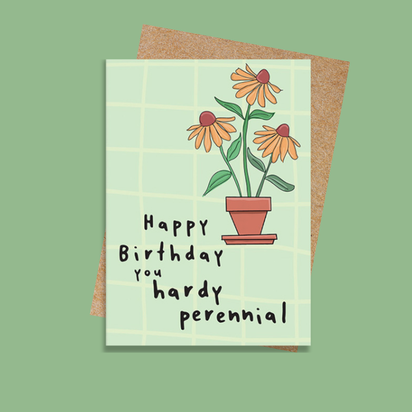 DSGF248 Hardy Perennial (6 pack)