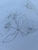 RR45 Pohutukawa Christmas *design in progress (6 pack) PREORDER