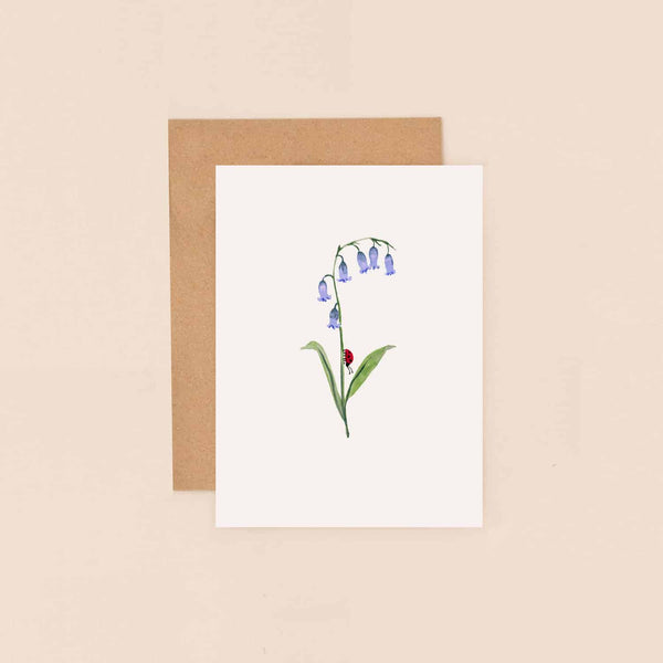 LMDBIJ66 Bluebells (6 pack)