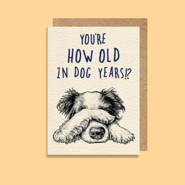 BWB05 Dog Years (6 pack) PREORDER - OCTOBER DELIVERY
