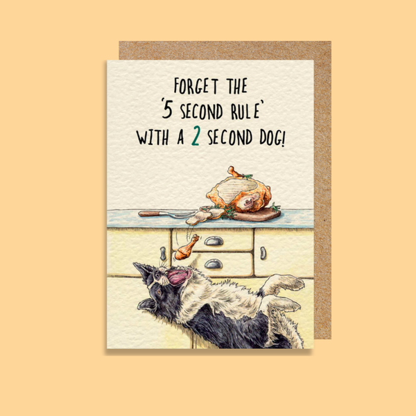 BWBD15 5 Second Rule (6 pack) PREORDER - OCTOBER DELIVERY