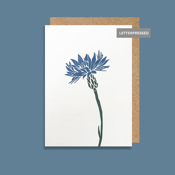 PI850 Cornflower (6 pack) PREORDER