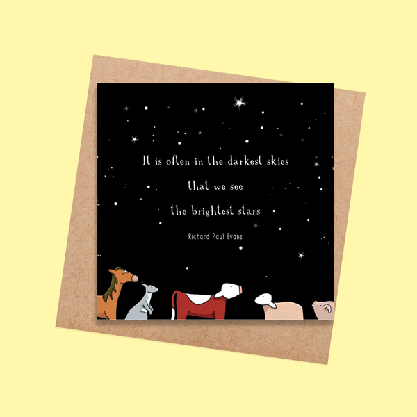 RTD33 The Brightest Star (6 pack)