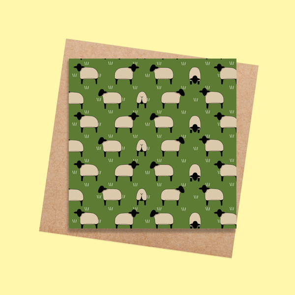 RTD35 Sheep (6 pack)