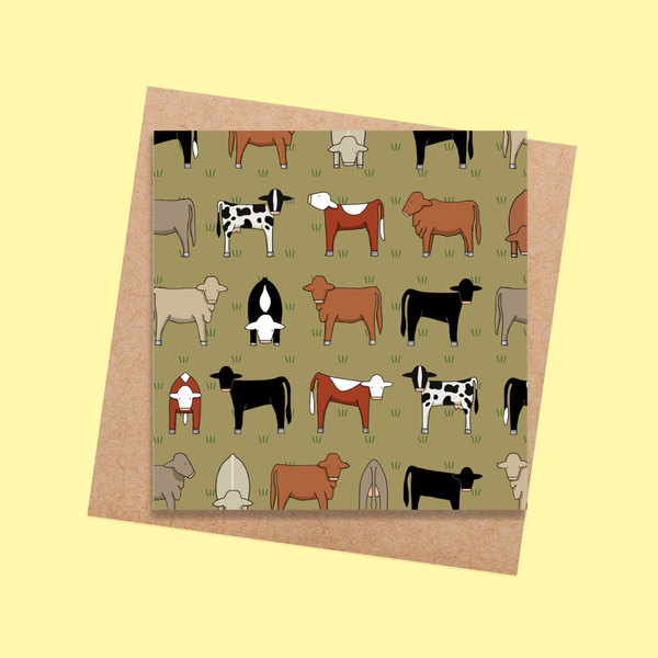 RTD37 Mixed Cows (6 pack)